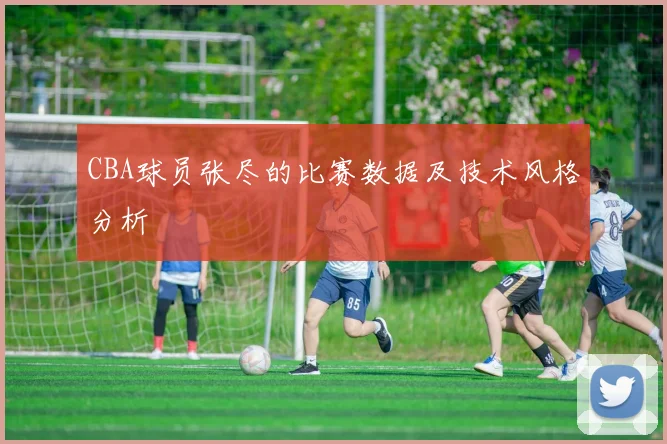 CBA球员张尽的比赛数据及技术风格分析
